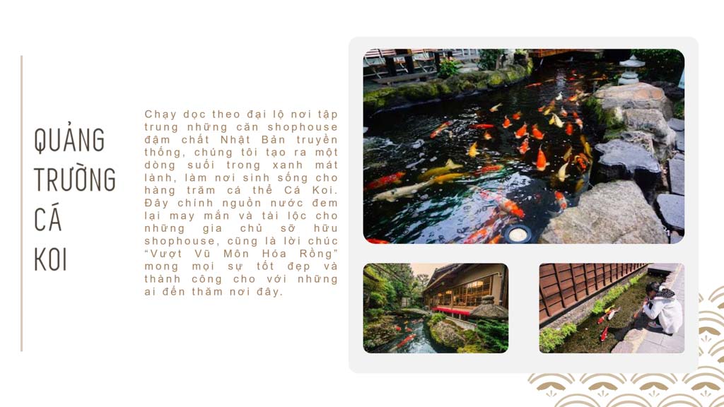 quang-truong-ca-coi-binh-chau-onsen